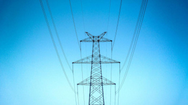 Editorial 2 Freepik.jpg