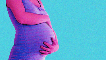 elin story 1 option 2.png