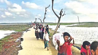 Employment for Rohingyas