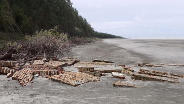 erosion Shubho Sandhya beach.jpg