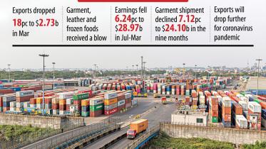 exporters nerves.jpg