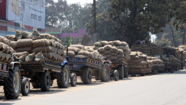 Falling Prices Potato.jpg