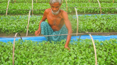 Farmer-friendly regulations.jpg