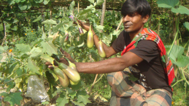 Farmer Shakhawat Hossain.jpg