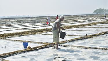 salt farmers