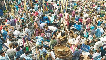 Fish fanatic's day out