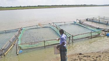 Fish farming cages.jpg