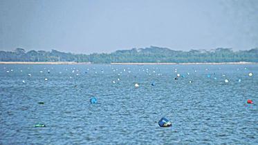 fishing current nets 1.jpg