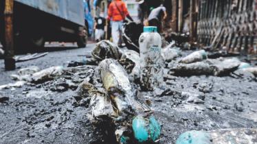 Flirting with disaster