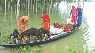 flood 1.jpg