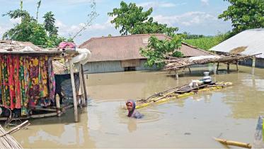 Flood in Bangladesh