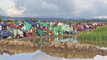 Fresh influx of rohingyas