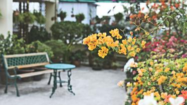 Gardening in the crowded city