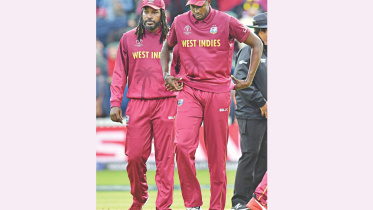 gayle.jpg