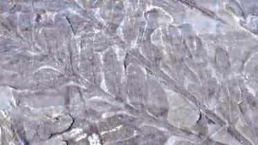 Geologists.jpg