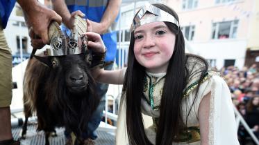 Goat-in-ireland-web.jpg