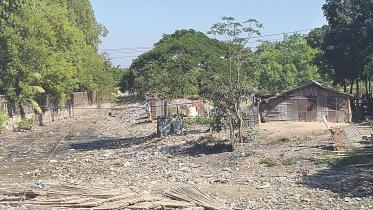 grabbed by gurdian.jpg