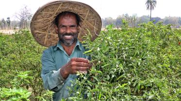 green chilli benefits