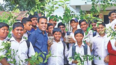 guardians of plants.jpg