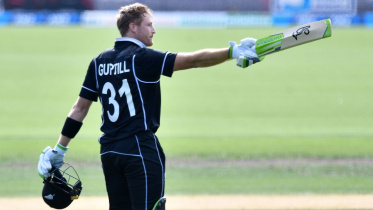 Guptill.jpg