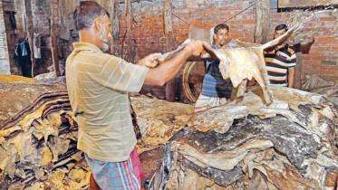 Hazaribagh-tannery-wb.jpg