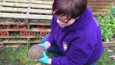 Hedgehog Sanctuary--2.jpg