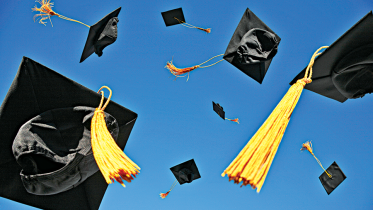 higher education.png