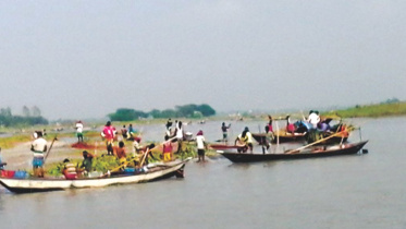 hilsha fishing in padma.jpg