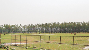 horrible example land leased.jpg