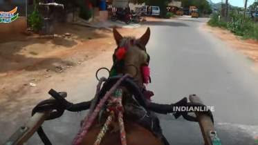 horse-cart-india-yt.JPG
