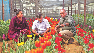 Hridoye Mati O Manush.jpg