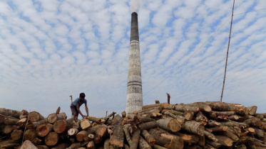 Illegal Brick Kiln Bandarban.jpg
