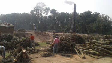 Illegal brick kilns.jpg