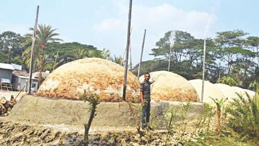 Illegal charcoal field.jpg