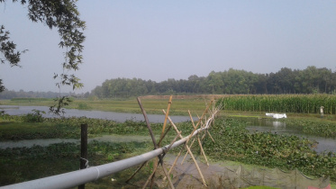 Illegal sand lifting Kapotakkho.jpg