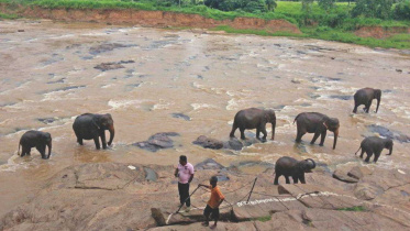 In the land of the lion with the sword