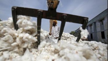India’s cotton output.jpg