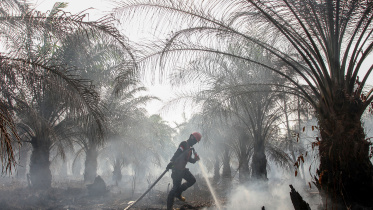 Indonesia-WB.jpg