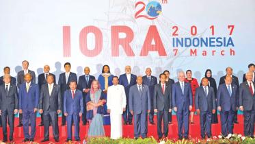 Iora.jpg