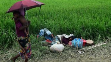 IPU call for UNSC intervention.jpg