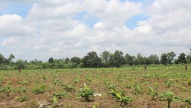 Jalchhatra Bazar 1.jpg