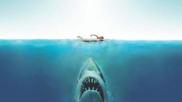 Jaws
