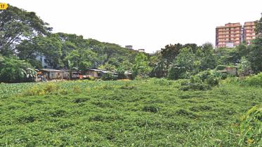 Jhigatola bus stand pond.jpg