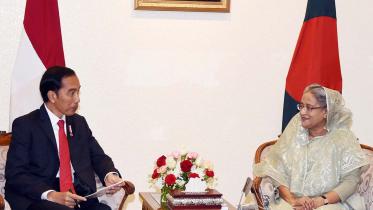 Joko Widodo--sheikh hasina