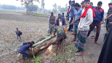 Jubo League man tree looting.jpg