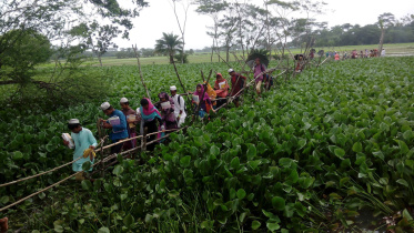 Kalapara upazila.jpg