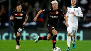 Kampl.jpg