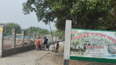 Karamjol Breeding.jpg