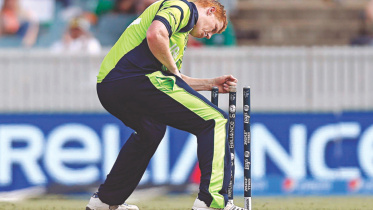 kevin enjoy wicket.jpg