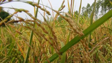 Khochabari village.jpg